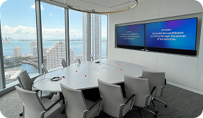 Video Conferencing Systems